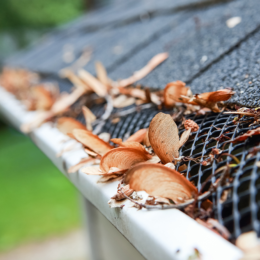 gutter guard eavestrough cleaning